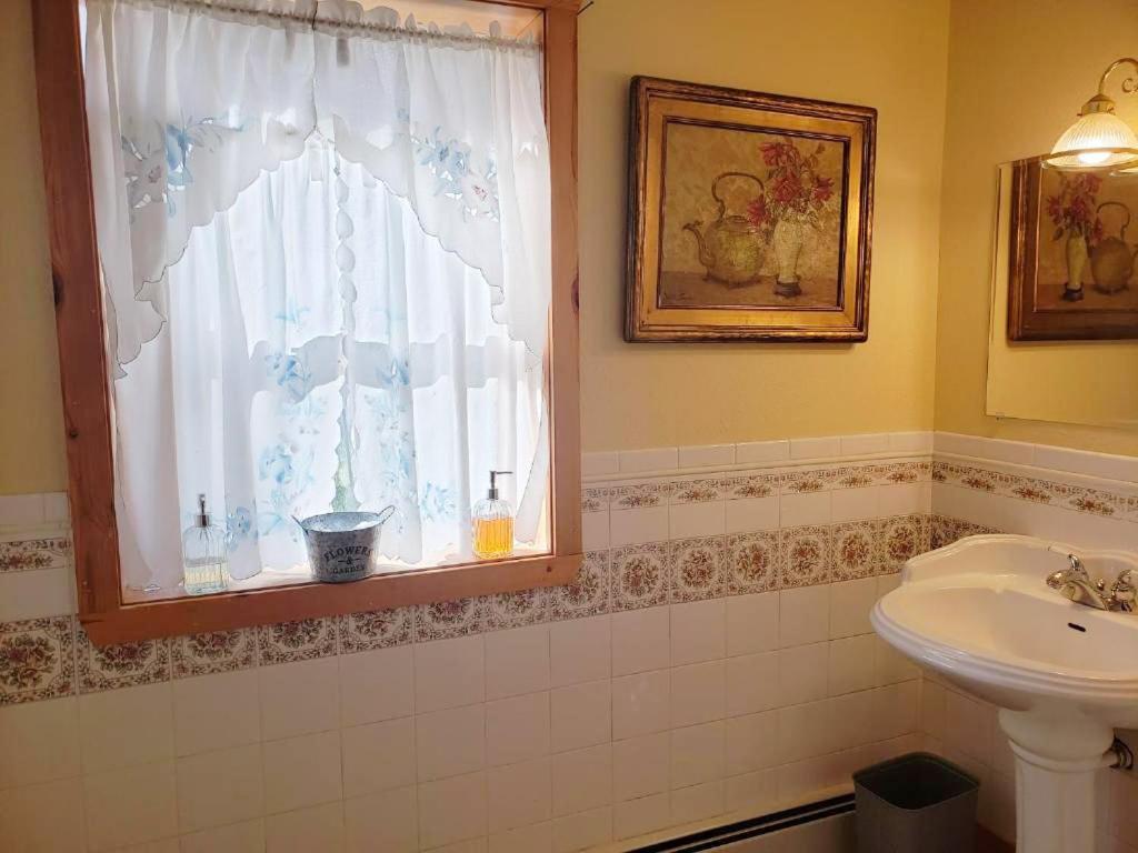 Mickelson Trail Treehouse Suite In The Heart Of The Beautiful Black Hills 希尔城 外观 照片